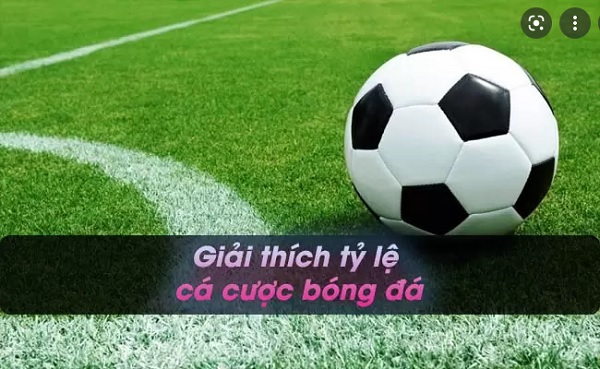 Giải Thích Tỷ Lệ Cá Cược Bóng Đá Chi Tiết Từ A-Z